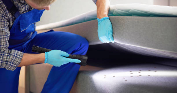 Best Flea Control Services  in Springfield, OR