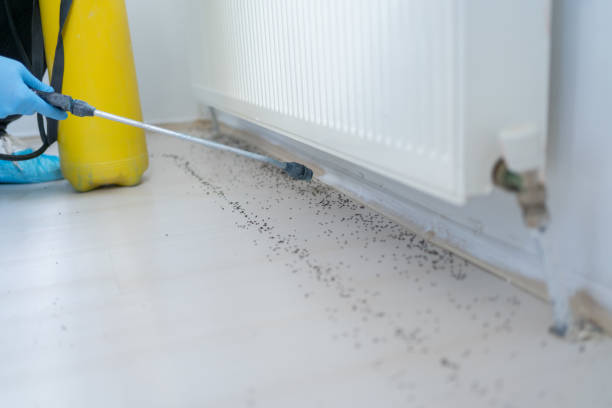 Springfield, OR Pest Control Company